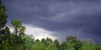 Previsioni Meteo 17 giugno