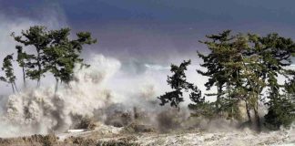 Acqua radioattiva Fukushima