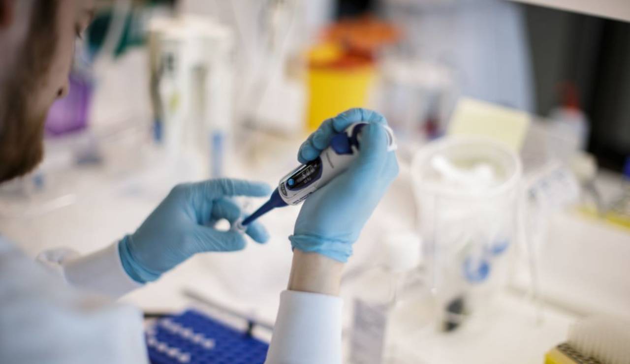 aosta: falsi positivi in laboratorio