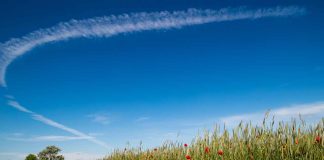 Previsioni Meteo 13 giugno