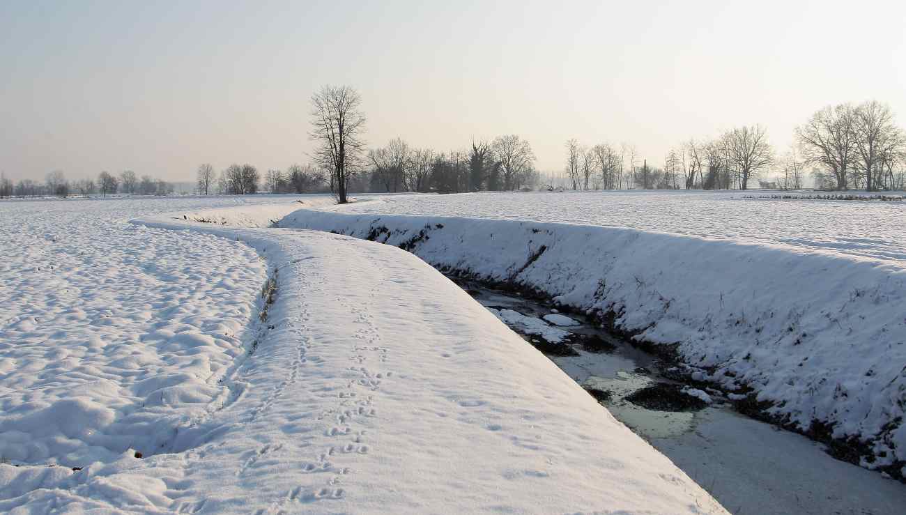 Previsioni Meteo 16 marzo