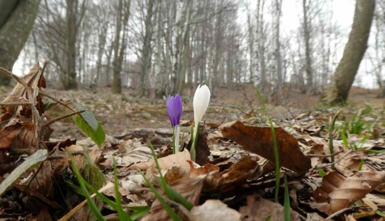 Previsioni Meteo 9 maggio