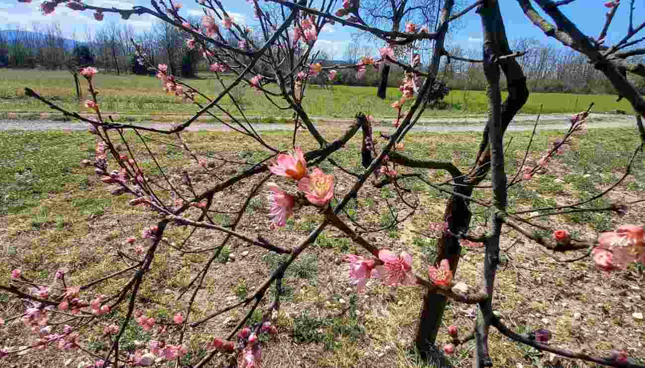 Previsioni Meteo 1 aprile