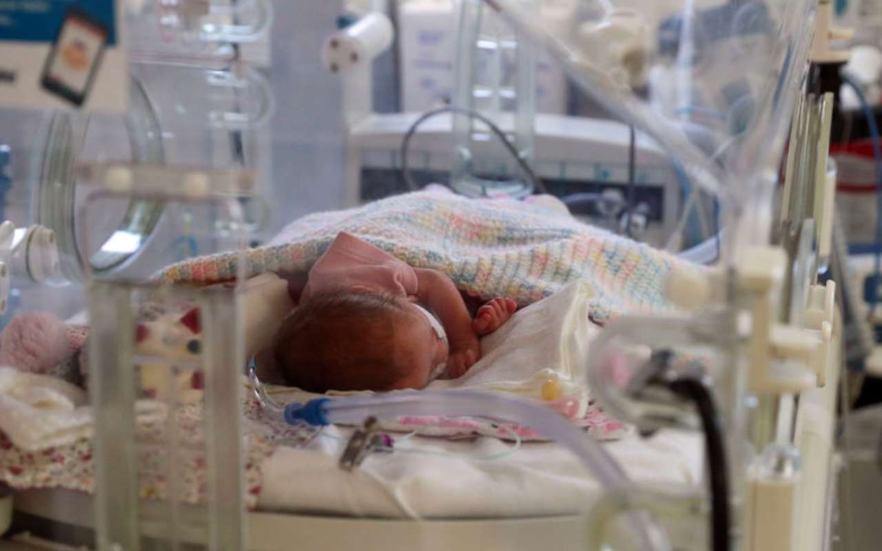 Lucca Neonata