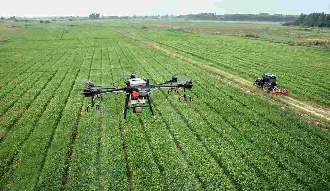 droni e software per l'agricoltura