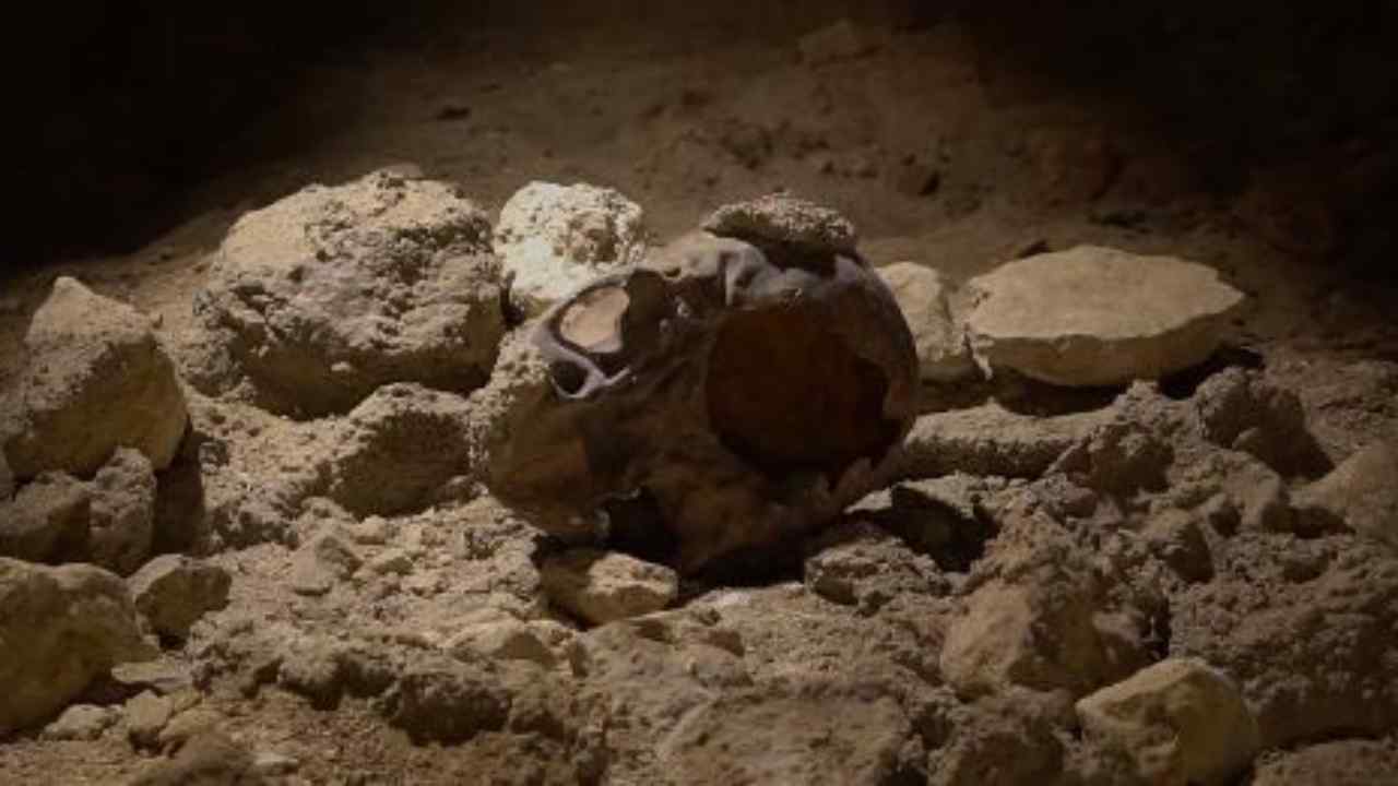 resti neanderthal circeo