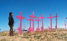 Marisela Ortiz Rivera Cimitero di croci rosa