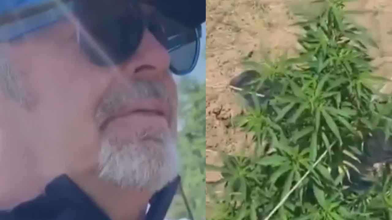 Vasco Rossi, appoggia il progetto per la cannabis legale di Ornella Muti e sua figlia (Instagram)