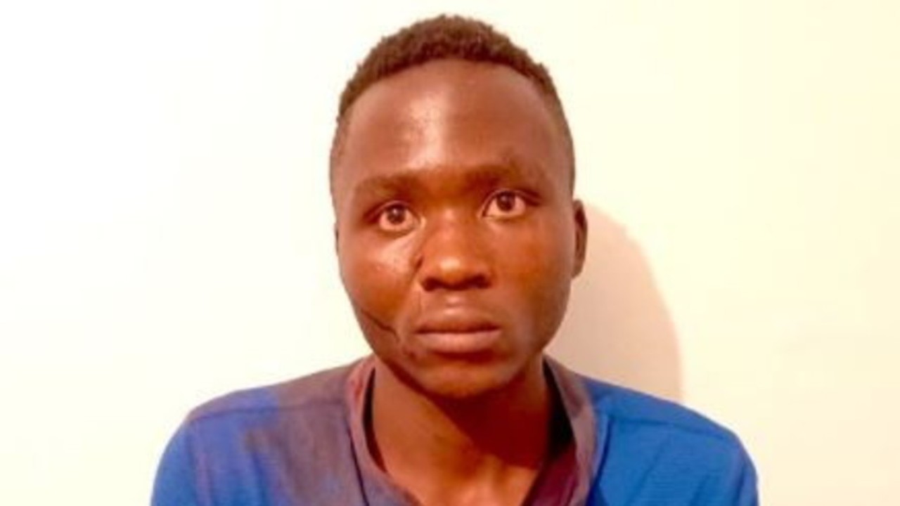 Vampiro dei bambini screenshot