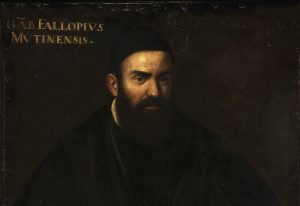 Il medico Falloppio