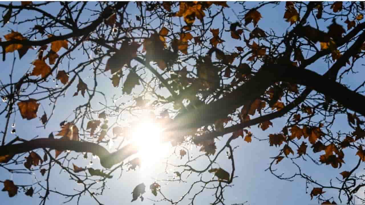 Immagine indicativa meteo 7 novembre 2021 (fonte: gettyimages)