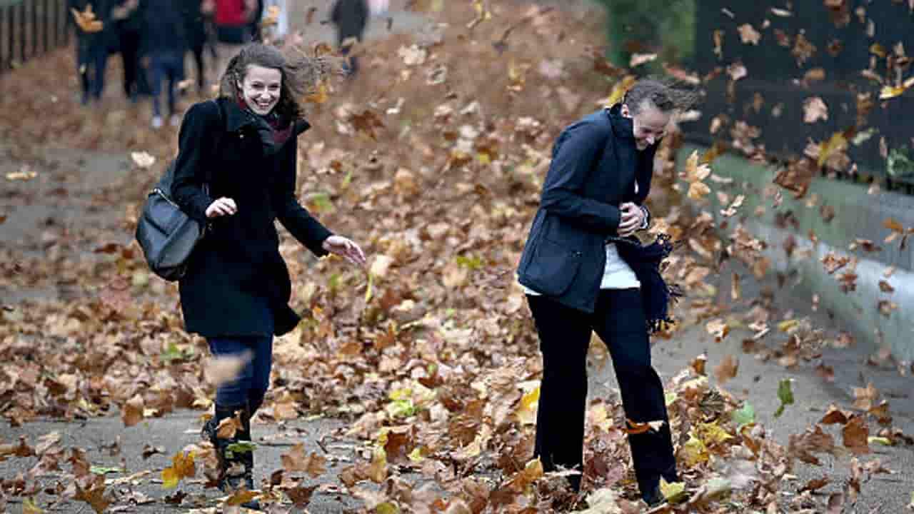 Immagine indicativa meteo 11 dicembre 2021 (fonte: gettyimages)