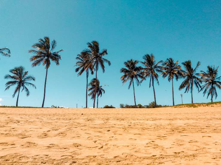 Sabbia della spiaggia