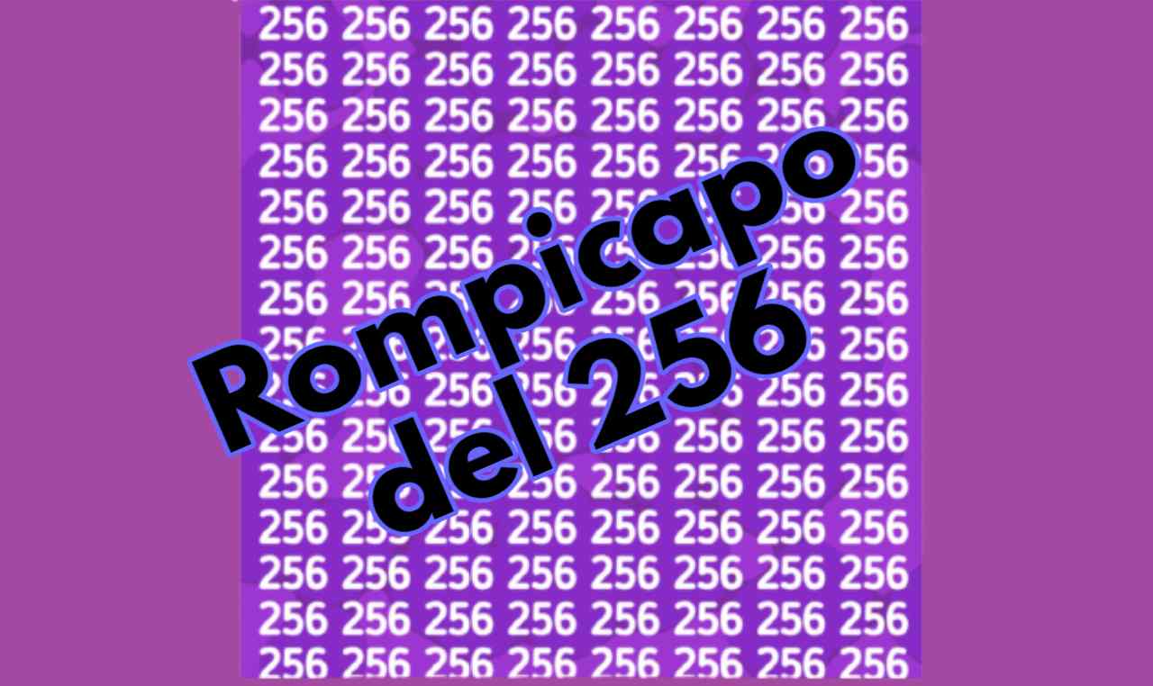 Rompicapo 256
