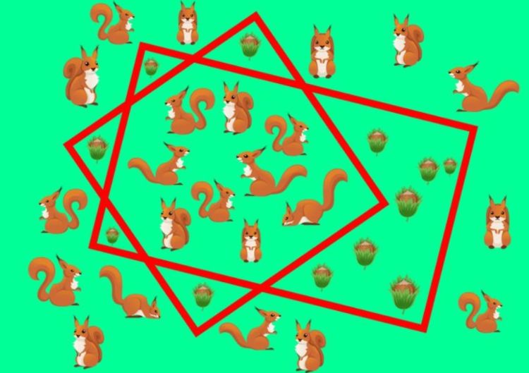 Test geometrico scoiattoli soluzione