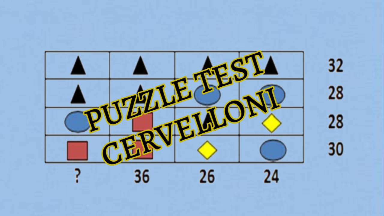 Puzzle test cervelloni