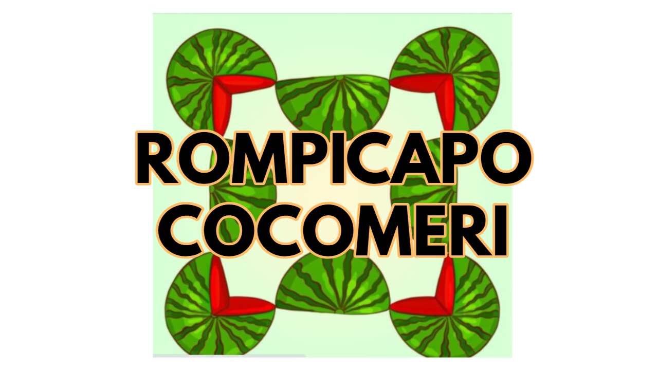 Rompicapo cocomeri