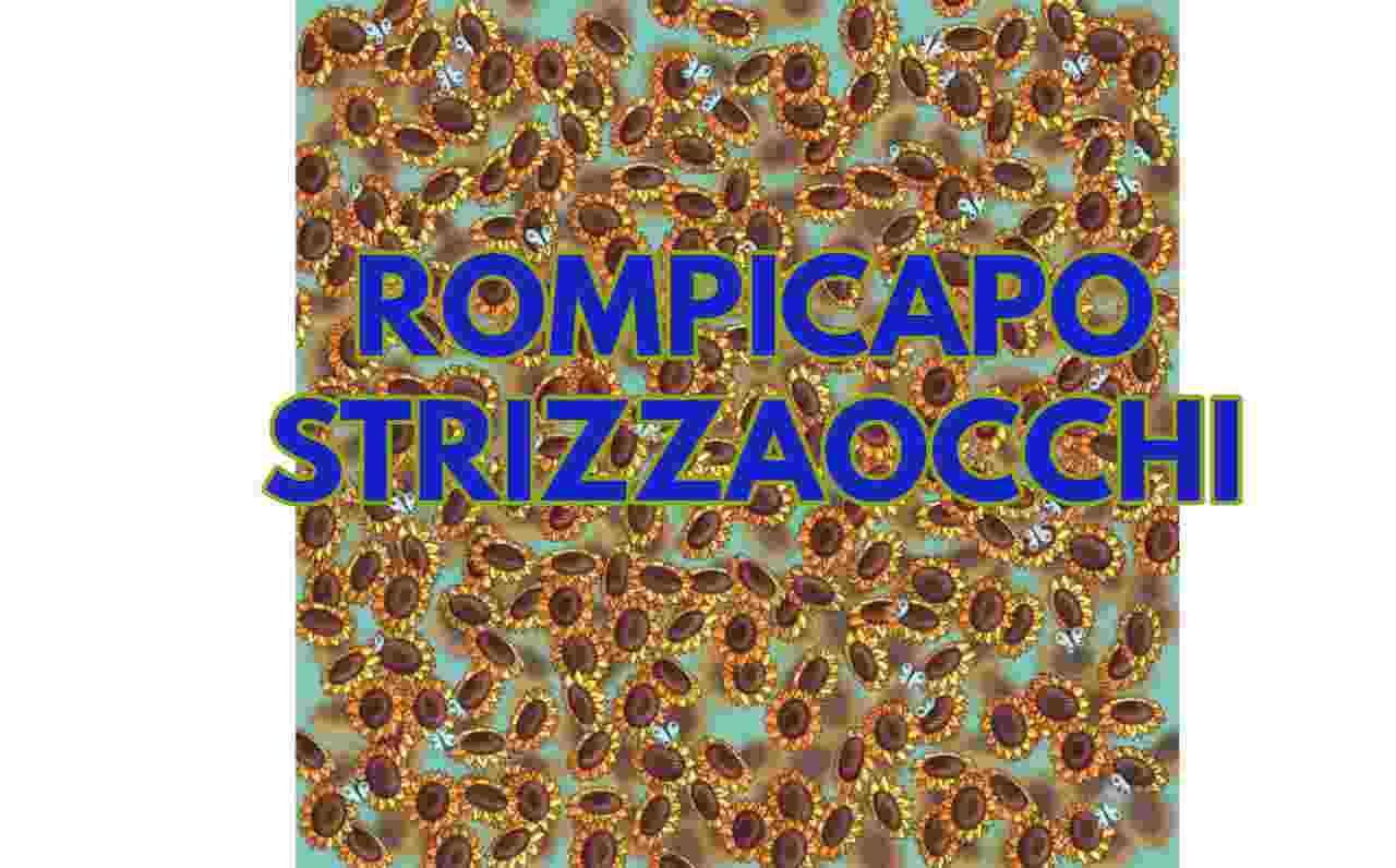 Rompicapo strizzaocchi CK 26_08_22