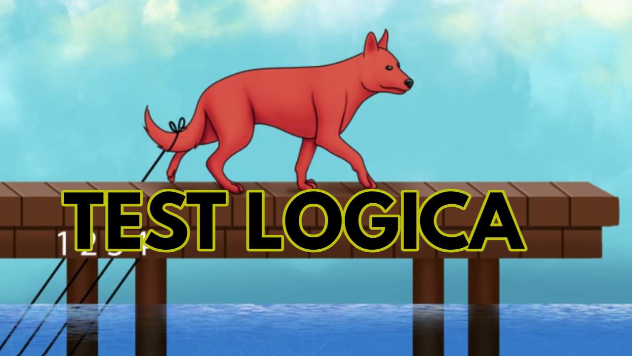Test Logica cane