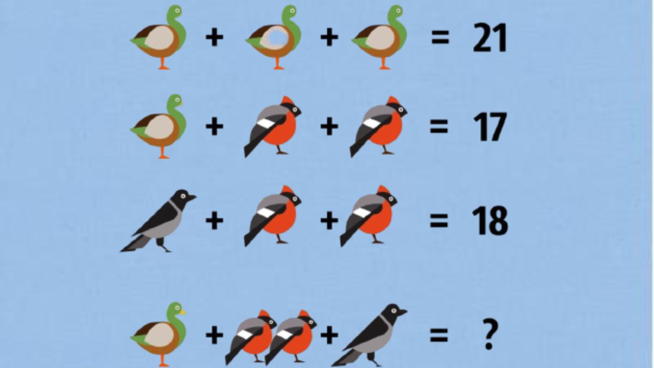 Test logica uccelli 