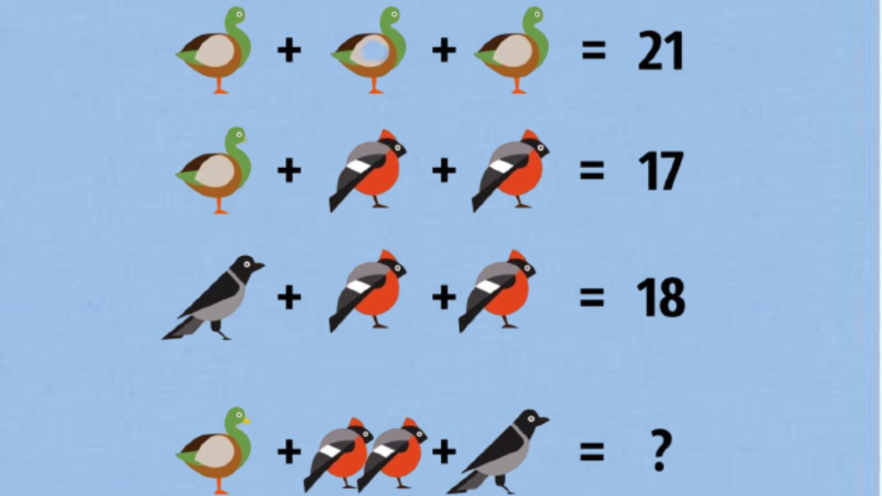 Test logica uccelli