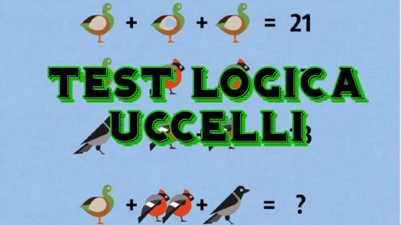 Test logica uccelli