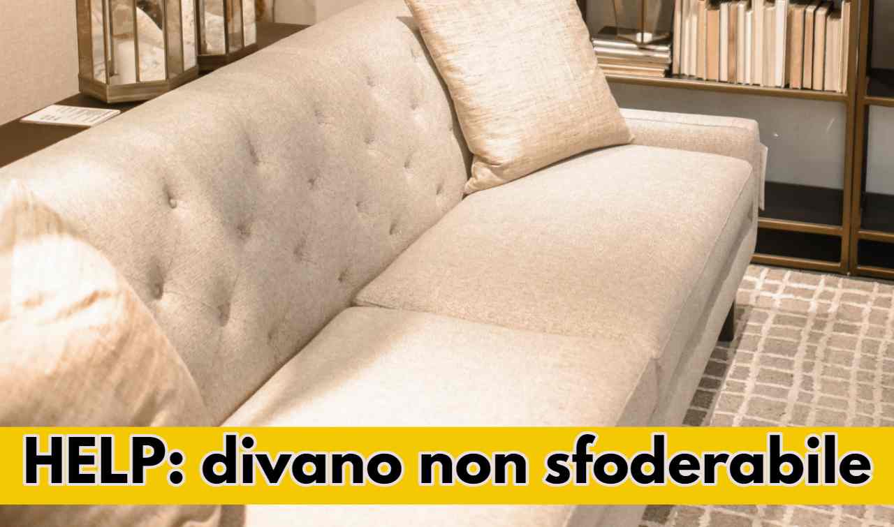 divano non sfoderabile ck12.it 20220829