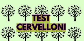 Test Cervelloni CK 14_09_22