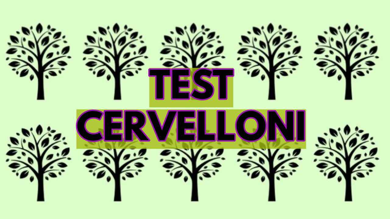 Test Cervelloni CK 14_09_22