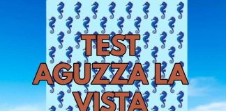Test_Aguzza_la_Vista_Cavallucci_marini CK 19_09_22