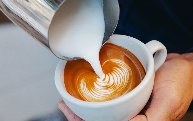latte vegetale ck12.it 20220921