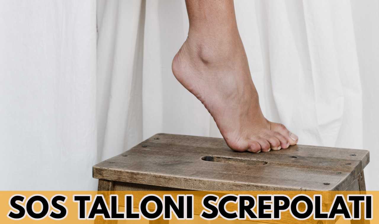 talloni screpolati ck12.it 20220916
