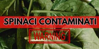 contaminazione spinaci ck12.it 20221017