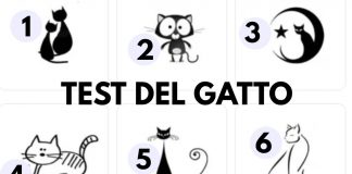 test del gatto ck12.it 20221011