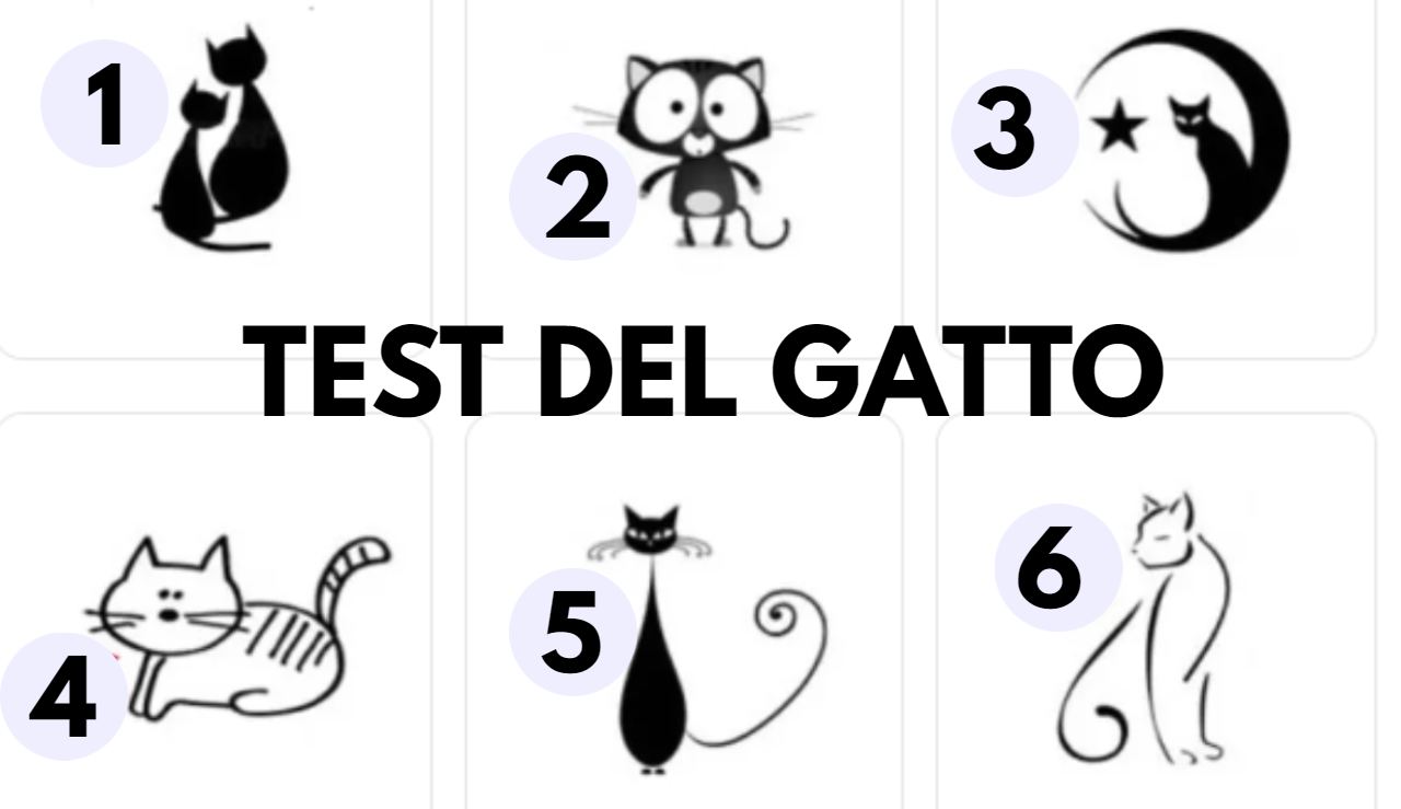 test del gatto ck12.it 20221011