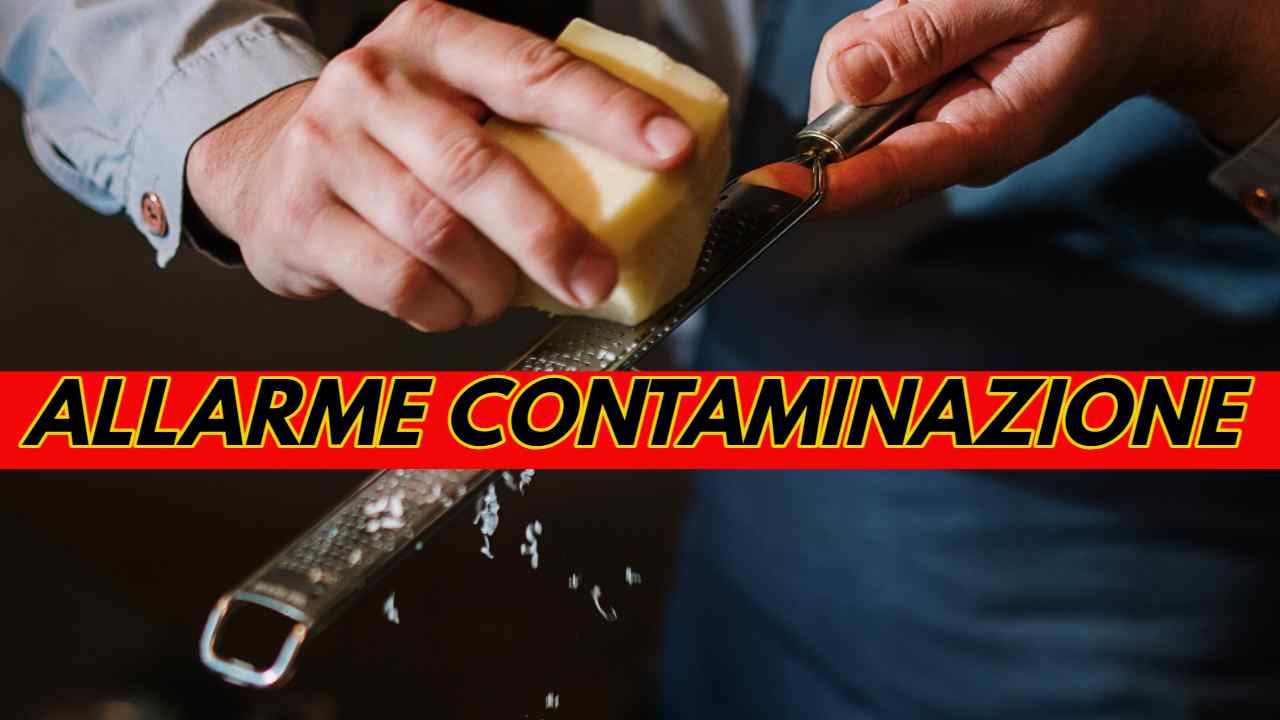 Allarme Parmigiano Reggiano | Rischio contaminazione: il Ministero richiama questi lotti