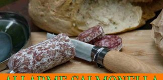 salame Milano, allarme salmonella ck12.it