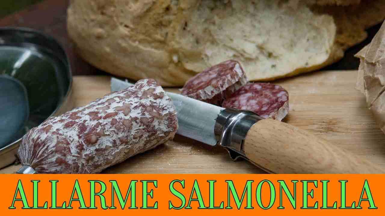 salame Milano, allarme salmonella ck12.it