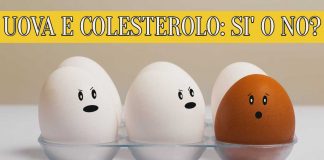 uova e colesterolo ck12.it