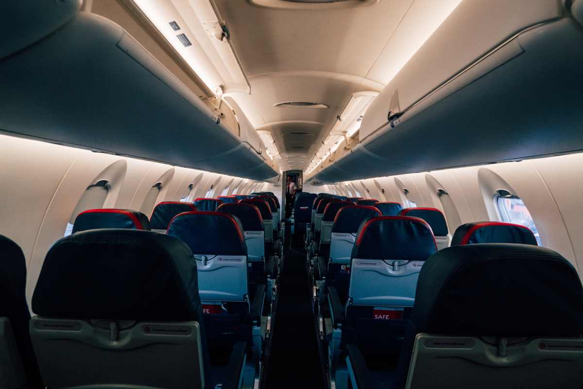 Viaggio in aereo: la compagna insolita