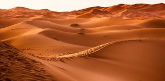 Deserto