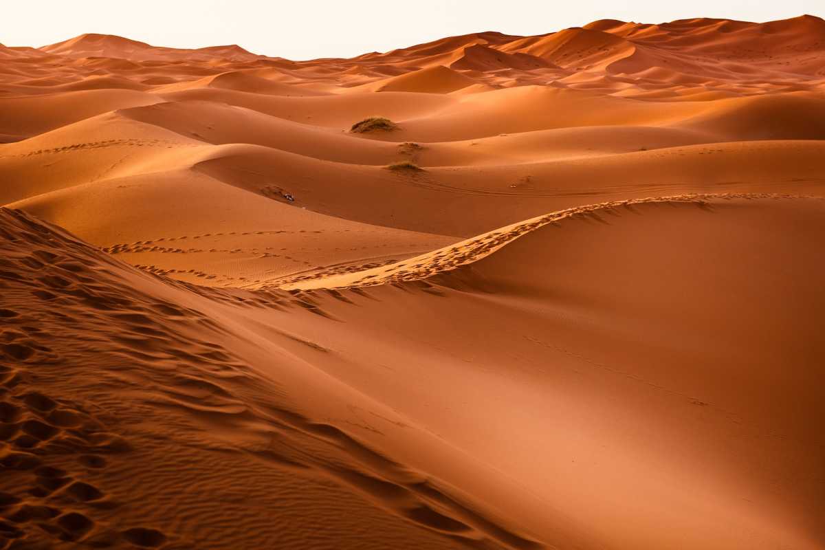 Deserto