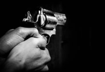 pistola