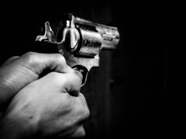 pistola