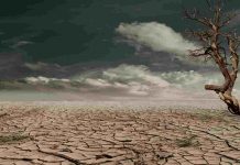clima secco 2022 record siccità europa