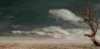 clima secco 2022 record siccità europa