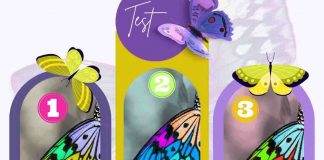 test ala farfalla personalità