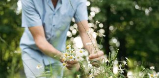 fiore perfetto maggio