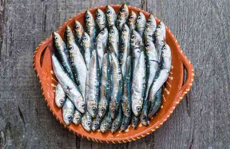 piatto di sarde
